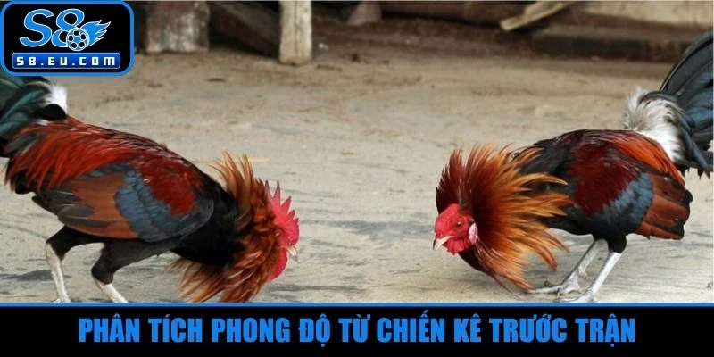 Phân tích phong độ từ chiến kê trước trận 